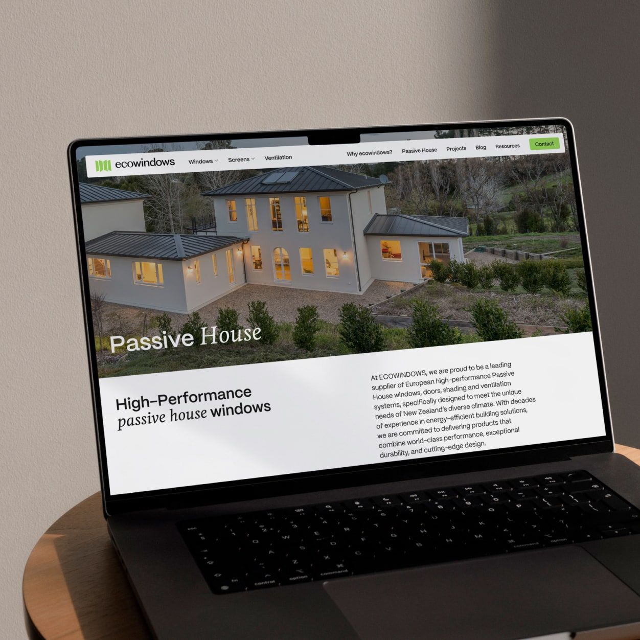 Ecowindows website design